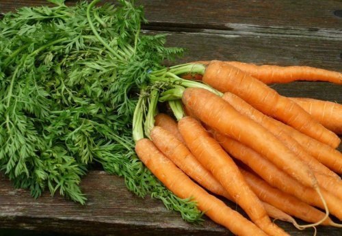 Рецепти з використанням бадилі моркви