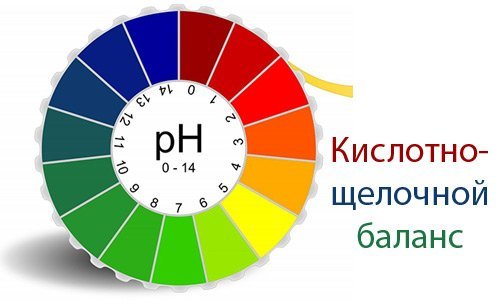 1f9cac5188b6d12810f6ff02a29c1899