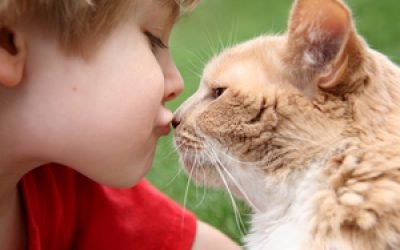 Котячий і стригучий лишай у людини: як виглядає, особливості лікування та зараження від кішки