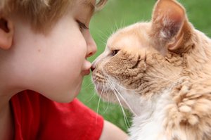 Котячий і стригучий лишай у людини: як виглядає, особливості лікування та зараження від кішки