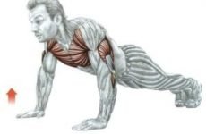 Вправи для малого тазу для чоловіків результати зміцнення комплекс тренування рекомендації
