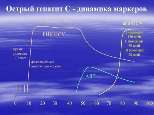 40d860331c6682bac10293b78b18981a
