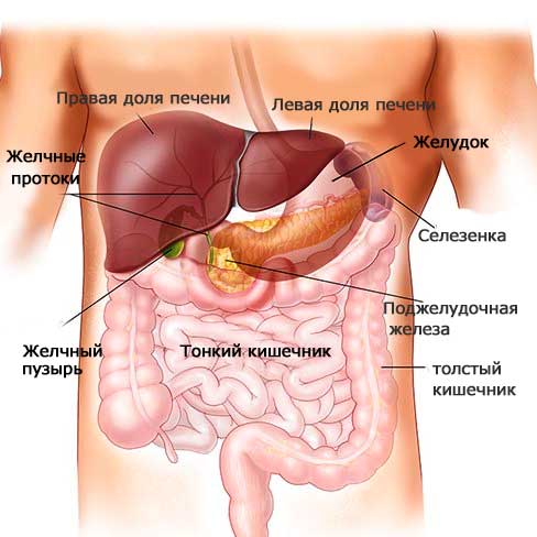 Симптоми і лікування загострення хронічного панкреатиту