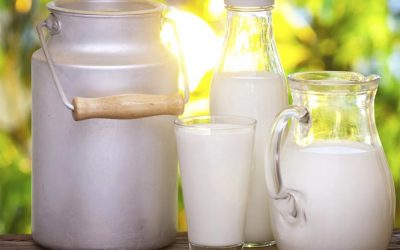 Все про користь молочних продуктів при лікуванні гастриту