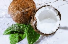 Як вибрати стиглий і смачний кокос