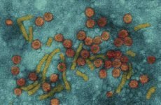 Аналіз крові на гепатит: маркери вірусу, здається чи натщесерце чи ні