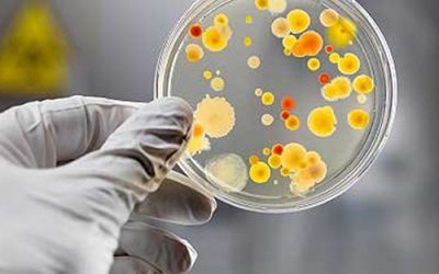 Бактерії в сечі у дитини: чому в аналізі сечі перевищення бактерій, причини безсимптомної бактеріурії у дітей