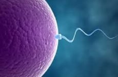 Як чоловіки здають сперму на аналізи: спермограма