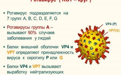 Ротавірусна інфекція у дорослих і дітей: симптоми і лікування захворювання, профілактика