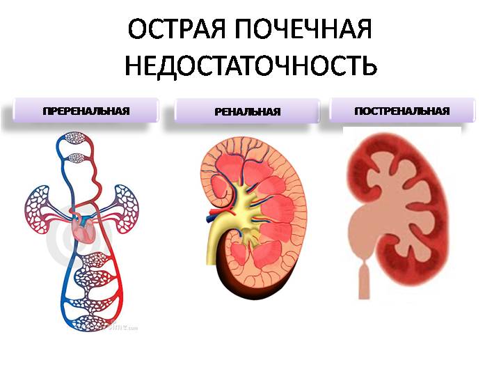 a707d7bb8784927e4b5df0a87af525a0