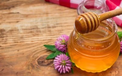 Кращі способи лікування гемороїдальних вузлів за допомогою меду