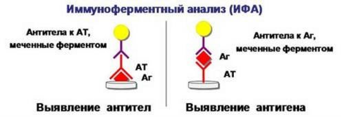 aea138af3aea57dd1af3861b5d265726