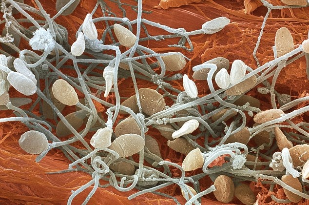 b6fa1b94550125a8442f7da03ea460dd