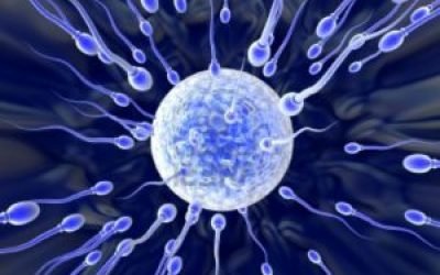 Як перевірити спермограму в домашніх умовах діагностика харчування рекомендації