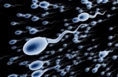 Як поліпшити якість спермограми: методи, ліки, вітаміни
