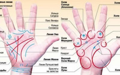 Значення родимок на долоні: що означають в хіромантії знаки на лівій і правій руці, на зап’ясті