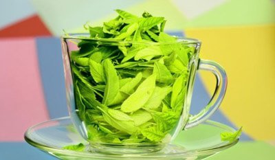 Користь зеленого чаю і можливу шкоду для організму і здоровя