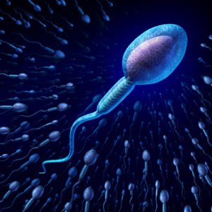 Як роблять спермограму показання підготовка норми відхилення рекомендації дієта