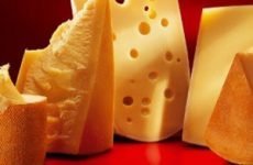 Вживання сиру в гострій і хронічній фазі гастриту