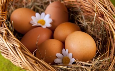 Як правильно зберігати яйця – способи та умови