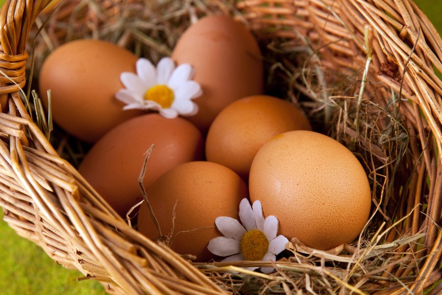 Як правильно зберігати яйця   способи та умови