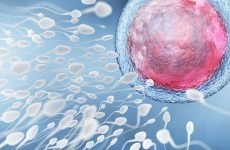 Як збільшити рухливість сперміїв: астенозооспермия, лікування