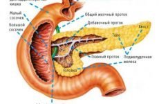 Панкреатит у жінки (запалення підшлункової залози): симптоми і лікування, причини захворювання