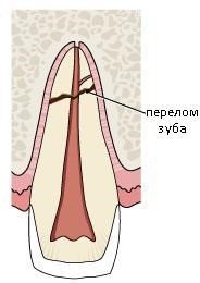 0733a35c21def5a7e5d1baf999713e22