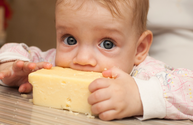 Чи можна дитині давати сир?