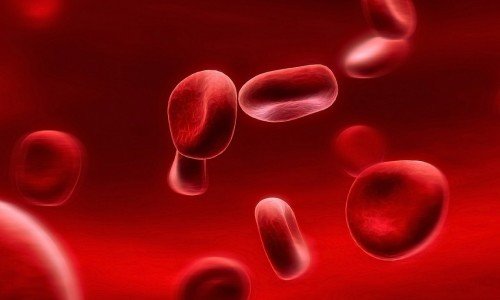 Особливості застосування гематогену з бичачої крові