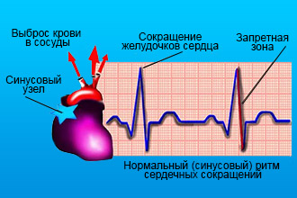 122c2e7540fbeab5bcc199a0a0c03659