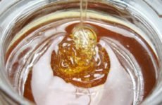 Медова коржик від кашлю — перевірені рецепти для дітей