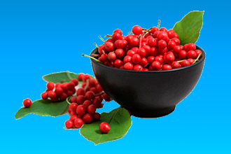1b789320f7a5d205cc02a73a0bddc8c1