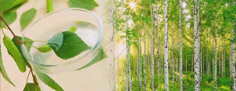 200297895eff602c268784fd65c15931