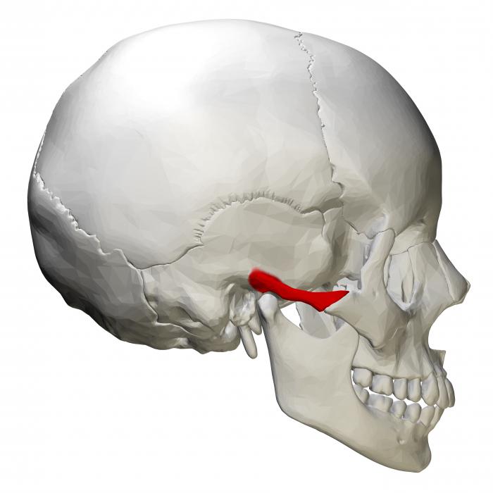 Перелом лицьової кістки – всі можливі травми і наслідки