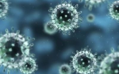 Новий грип: симптоми і лікування нової хвилі вірусу грипу, які симптоми нового виду вірусу грипу?