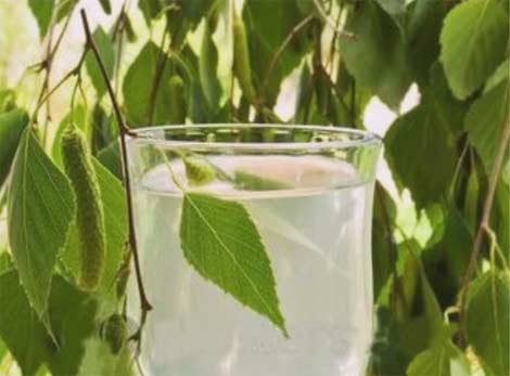 3ef3ebb5d520aa3ea85503a6b15cf1c4