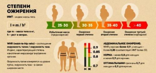 Вісцеральне ожиріння у жінок і чоловіків: причини, наслідки, дієта