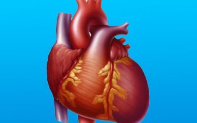 Що таке дилатаційна кардіоміопатія і які її симптоми