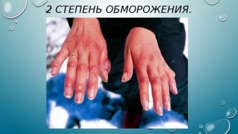 59b88db640d86584a4cc0f8d77674739