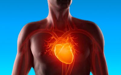 Легеневе серце – симптоми та діагностика, лікування та прогноз