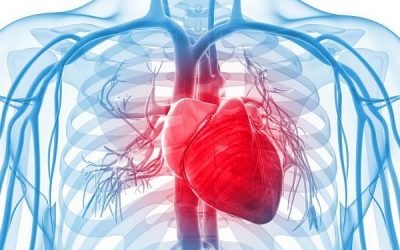 Розшифровка кардіограми (ЕКГ) серця для чайників: норми в таблиці
