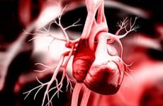 Збільшення лівого шлуночка серця: причини і лікування, наслідки