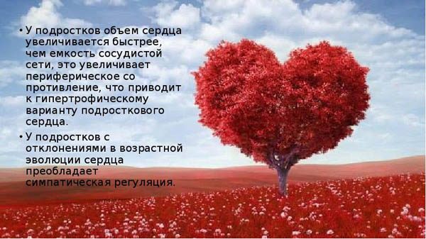 83a8cd80e4807fac75c3be9de9bc2af1