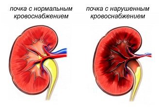 905f954e760583a32efe123a46cabb1f