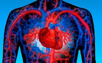 Збільшене серце – причини великої шлуночка, лікування і наслідки для дорослих і дітей