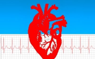 Зміни в міокарді серця – виражені, незначні і рубцеві