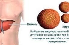 Гепатит B: симптоми, лікується хвороба чи ні, лікування, характерні ознаки