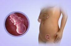 Причини появи і способи лікування вад серця у плода при вагітності