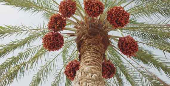 c81ea4072c5cbb8541ed8a4913fc9bea